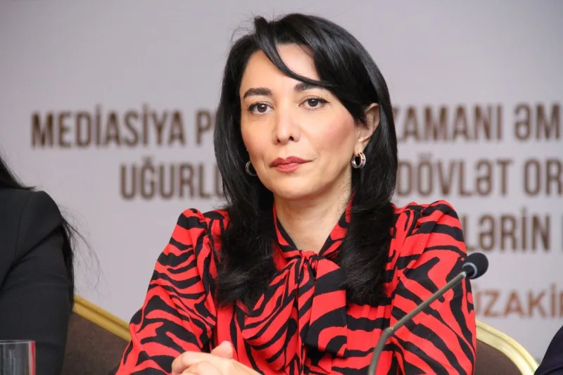 Ombudsman beynəlxalq ictimaiyyətə çağırış etdi