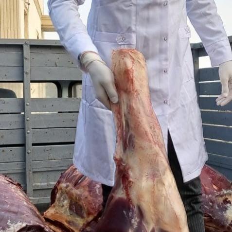 300 kiloqram at cəmdəyi aşkarlandı