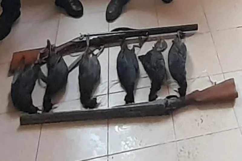 Şabranda ov edənlər saxlanıldı