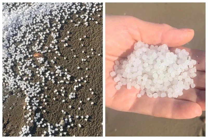 Sahildə çox sayda plastik hissəcik tapıldı