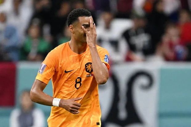 DÇ-2022: Niderland 1/8 final mərhələsinə vəsiqə qazanıb- YENİLƏNİB