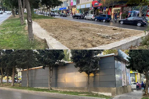 Zibil məntəqəsi tikmək adı ilə ağacları kəsiblər? - AÇIQLAMA