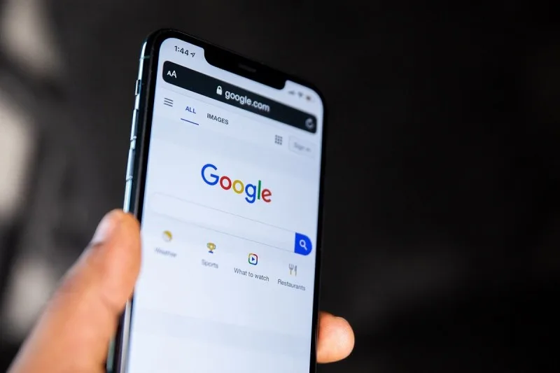 Bu il "Google Search"də ən çox bu mövzular üzrə axtarış edilib