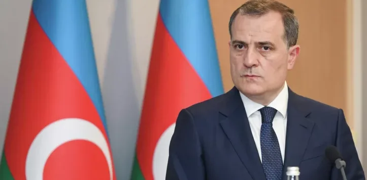 "Azərbaycanlı eko-fəalların tələblərinə cavab verilməyib" - Nazir