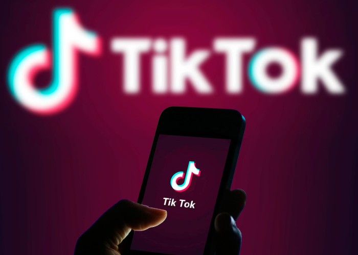 TikTokun Azərbaycanda gündəlik auditoriyası 3 milyondur