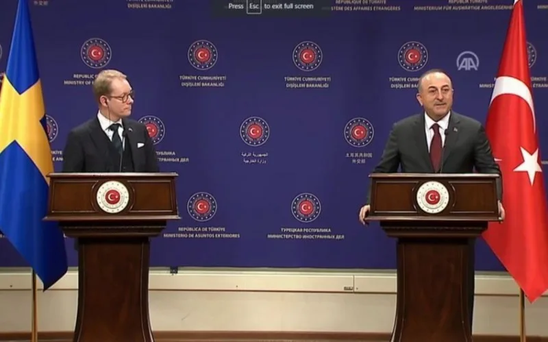 Türkiyə və İsveçin XİN başçıları Cənubi Qafqazı müzakirə etdi