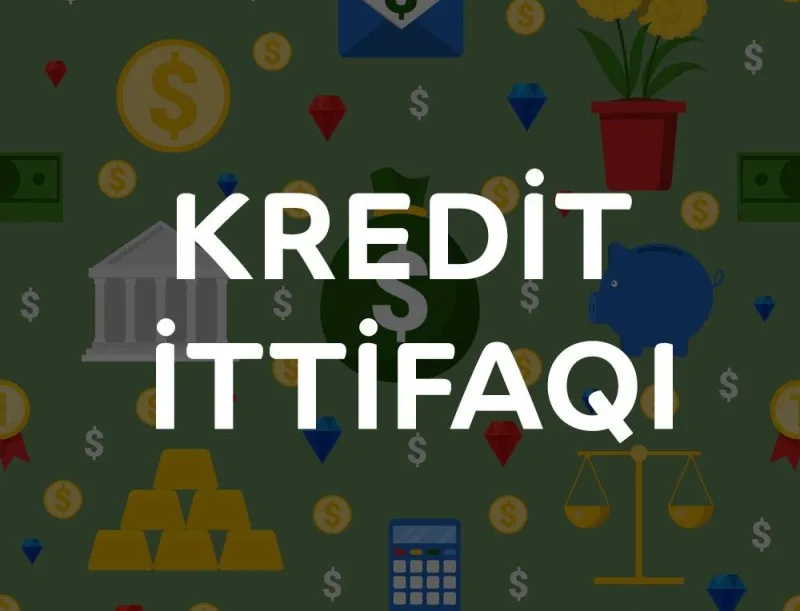 Dövlət qurumu ilə kredit təşkilatı arasında MÜBAHİSƏ