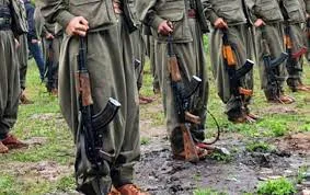 Son 7 ildə məhv edilən terrorçuların sayı