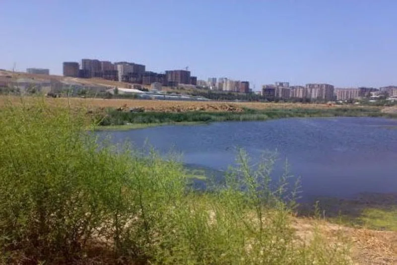 Məşhur gölün ətrafında park salınacaq