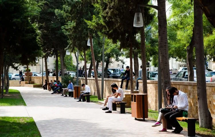 Bakıda parkdan oğurluq edildi