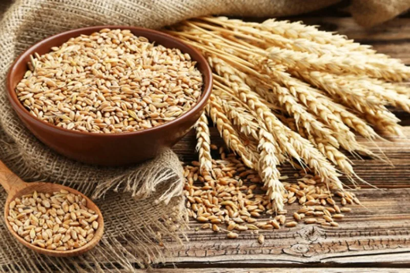 Bu il Azərbaycan buğda idxalını ARTIRIB