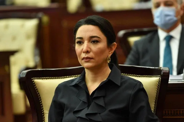 Ombudsman: “Ermənistan azad olunmuş ərazilərimizi yenidən minalarla çirkləndirir”