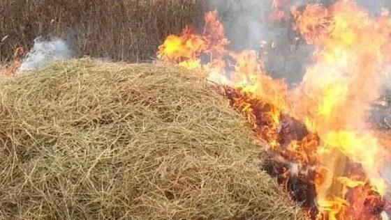 Tonlarla ot bağlaması yandı