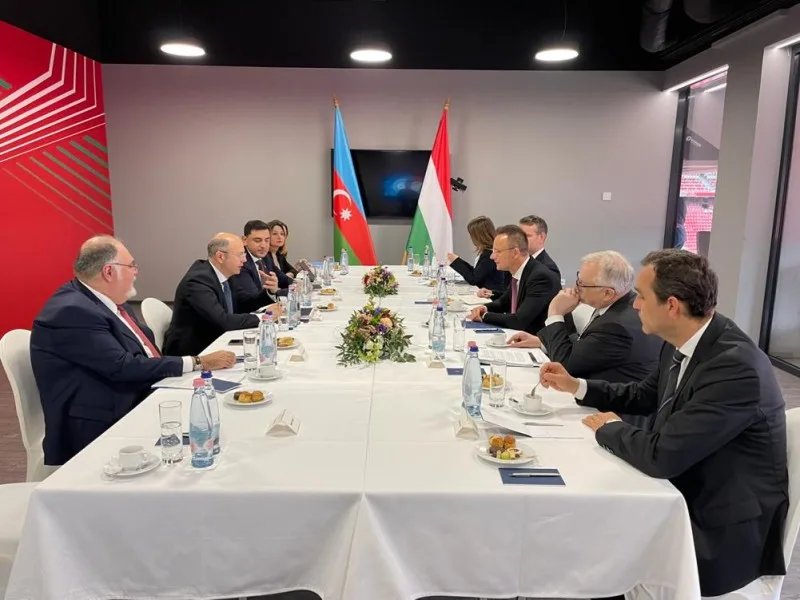 Macarıstanla təbii qazın və “yaşıl enerji”nin tədarükü üzrə müzakirələr aparılıb