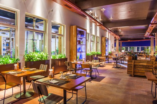 Bu restoranlarda nöqsanlar aşkarlandı - SİYAHI