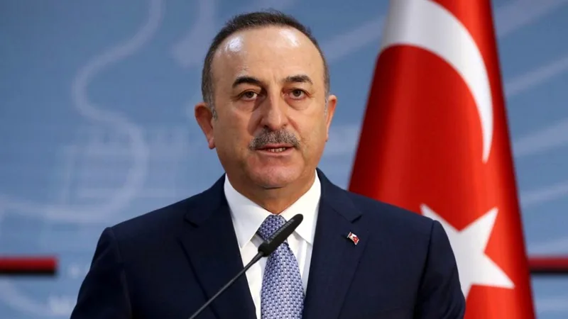 "Putinin Türkiyəyə, Ərdoğanın isə Rusiyaya səfəri planlaşdırılmır" - Çavuşoğlu