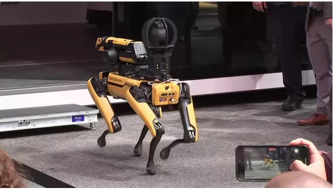 Polis İdarəsində 3 robot it