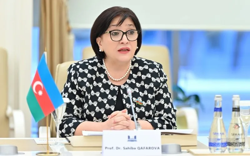 Sahibə Qafarova Vyaçeslav Volodinə məktub ünvanladı