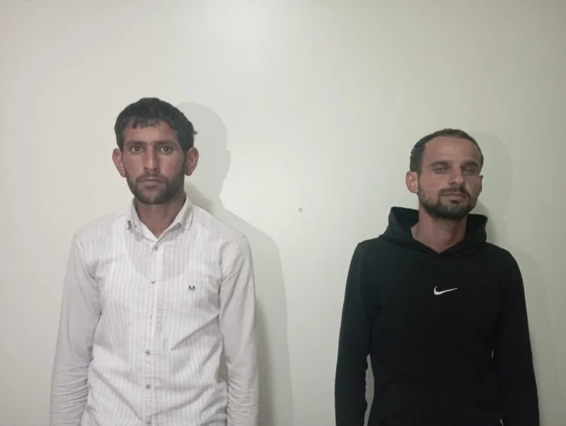 Narkotik tərkibli bitkilərin kultivasiyası ilə məşğul olanlar saxlanıldı