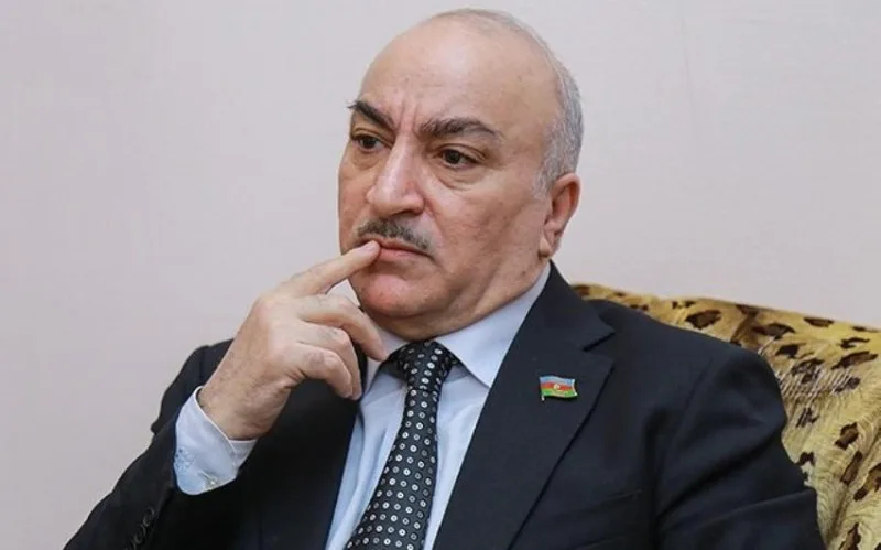 Tahir Kərimli: "Bakıda ağcaqanad əlindən dayanmaq olmur"