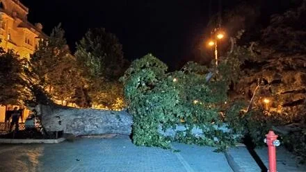 Gəncədə leysanın yaratdığı fəsadlar aradan qaldırılır