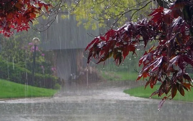 Temperatur 10 dərəcəyədək aşağı enəcək - XƏBƏRDARLIQ