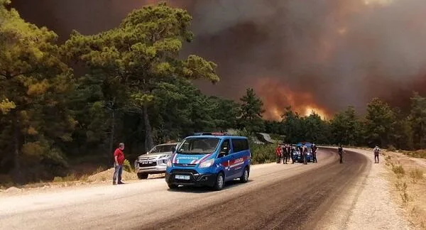 Çanaqqalada meşə yanğını: 8 kəndə zərər dəydi...