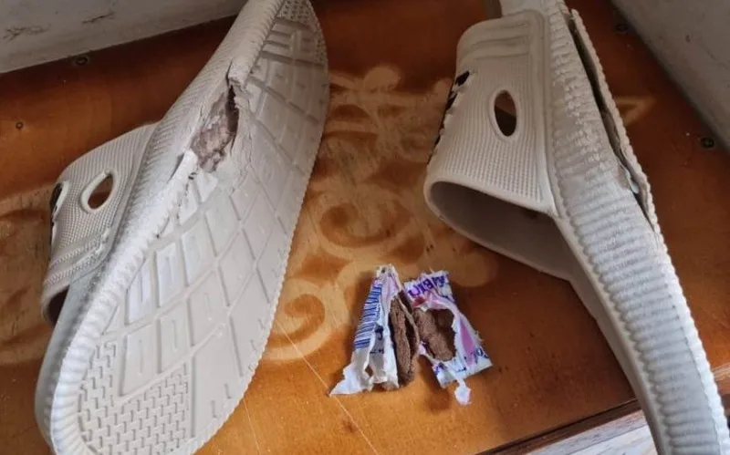 Dustağa sovqatın içərisində heroin keçirmək istədi