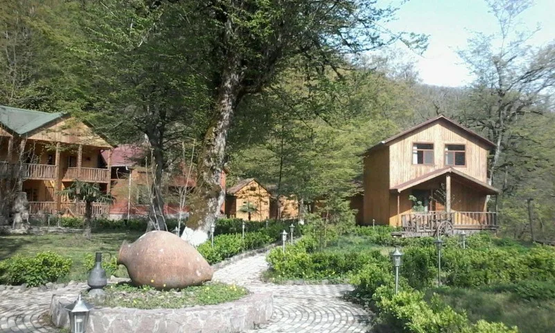 Məşhur istirahət mərkəzinin rəhbəri cəzalandırıldı - FOTOLAR
