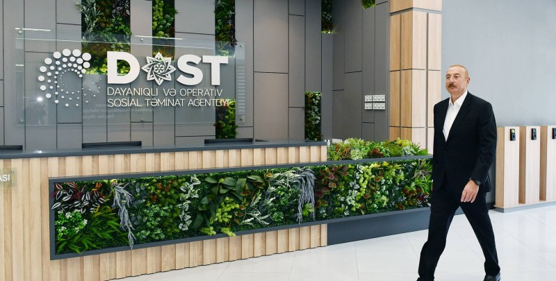 5 yaşlı DOST