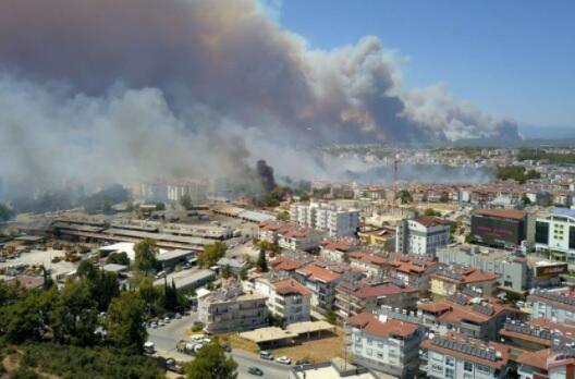 Manisada meşə yanğını: 4 təyyarə, 8 helikopter cəlb edilib