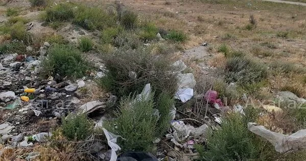 Qubada antisanitar vəziyyət yaradan şəxslər cərimələndi