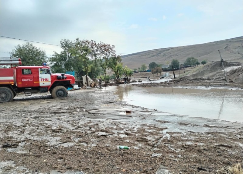 İsmayıllıda 80-dən çox inəyi, 150 baş qoyunu sel apardı 