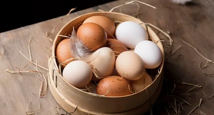 Ağ, yoxsa qəhvəyi: Hansı yumurta daha faydalıdır?