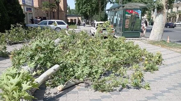 Güclü külək Sumqayıtda fəsadlar törətdi
