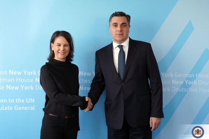Gürcüstanın XİN başçısı almaniyalı həmkarı ilə görüşdü