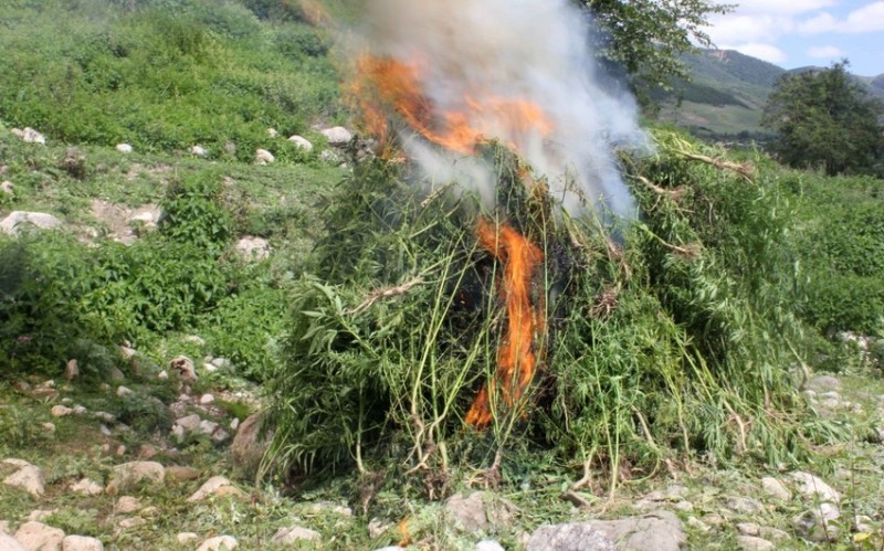 Müsadirə olunmuş narkotik vasitələr