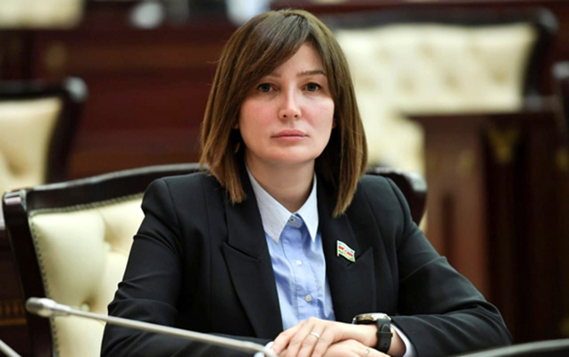 Deputat Salyanda işsizlik problemindən DANIŞDI