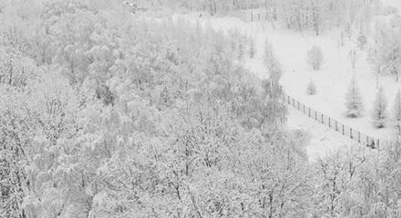 Moskvada Sibir soyuğu olacaq
