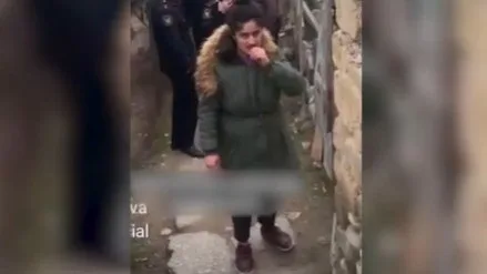 Siyəzəndə pişiklərə işgəncə verilməsi ilə bağlı araşdırma aparılır - VİDEO