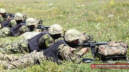 Gürcüstan ordusunun sayı ilə bağlı QƏRAR