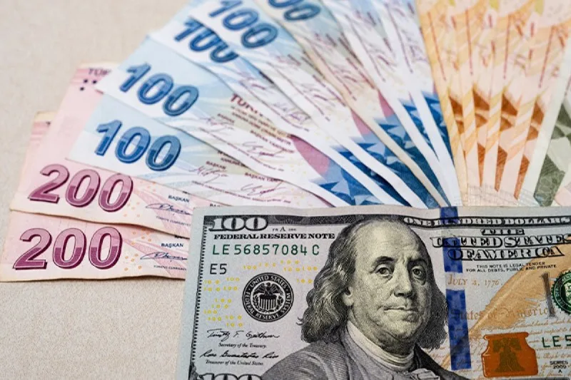 Türkiyədə dolların məzənnəsi 31 TL-yə yaxınlaşdı