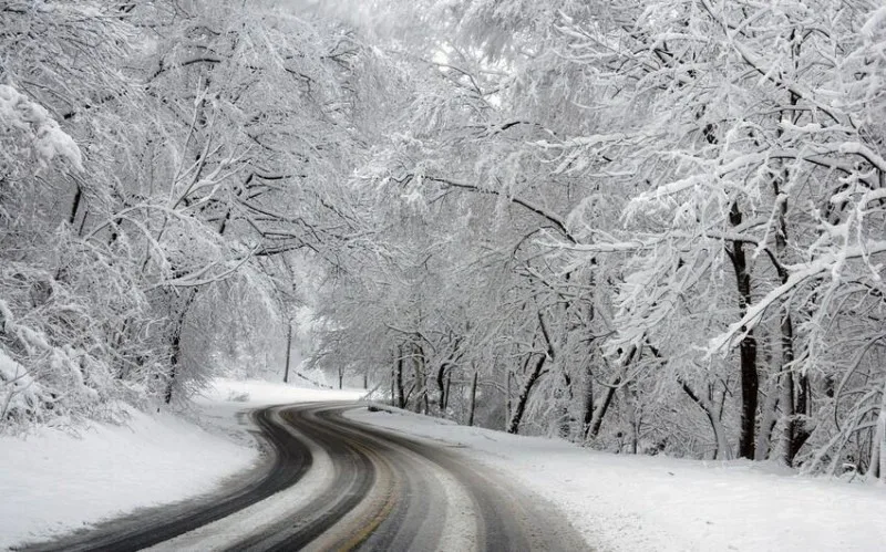 DİQQƏT: Gecə və səhər bu ərazilərdə yollar buz bağlayacaq