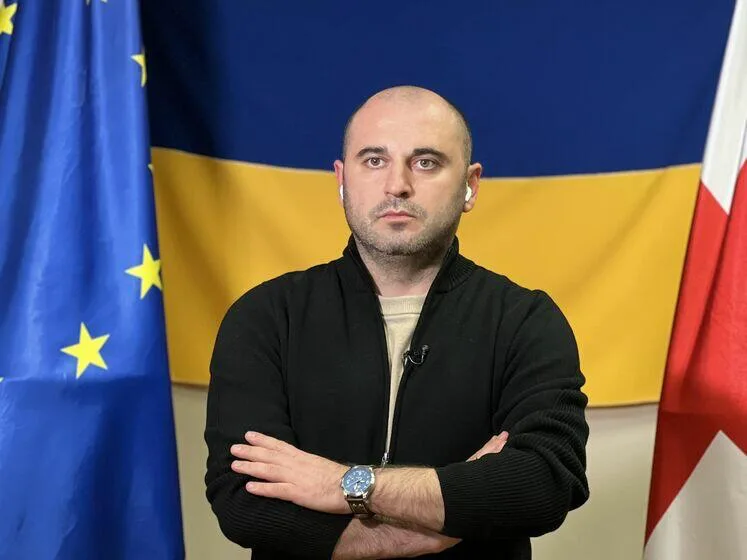 Gürcüstanın əsas müxalifət partiyasının lideri saxlanıldı