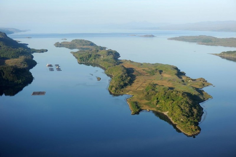 Argentinadan İngiltərəyə Folklend adaları mesajı: Sülh yolunu axtarırıq