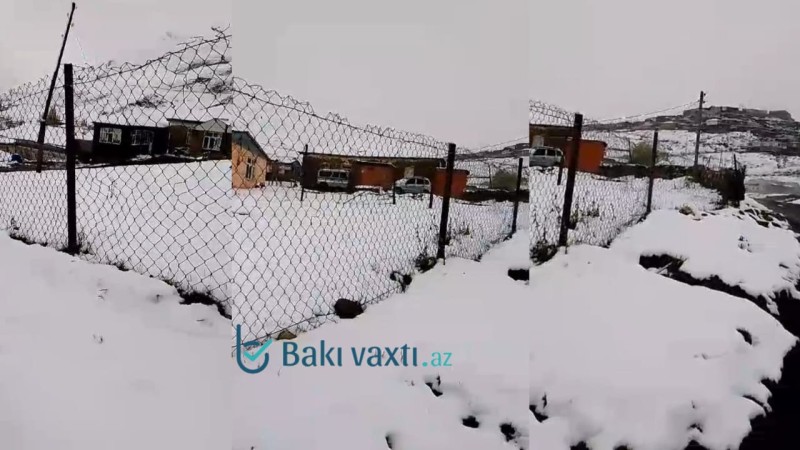 Xınalıq ağ örpəyə büründü - VİDEO