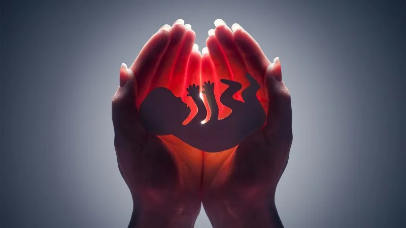 Abortların sayı artıb