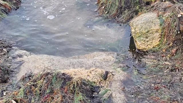 Nardarandakı çimərlikdə araşdırma: çirklənmə..