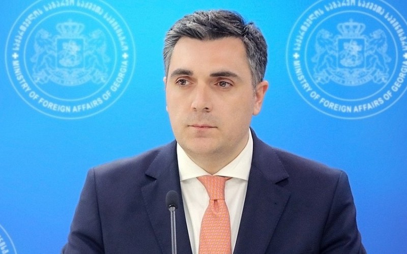 Darçiaşvili: Gürcüstan Azərbaycanla tərəfdaşlığı yüksək qiymətləndirir