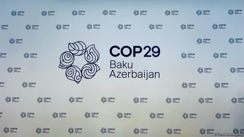 Ceyhun Bayramov: Ümid edirik ki, COP29 uğur hekayəsi olacaq